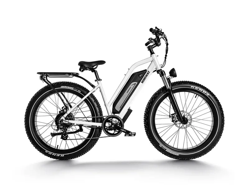 Himiway D3 Cruiser Series | D3 Cruiser & D3 St Cruiser | Motor Type 750W 1