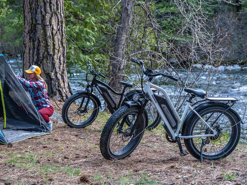 Himiway D3 St (Cruiser St) | All Terrain Step Thru Electric Bike | 750W Brushless Gear Motor | Lcd Display With Usb Charging 1