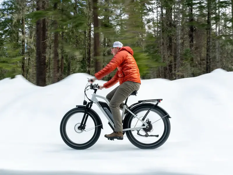 Himiway D3 St (Cruiser St) | All Terrain Step Thru Electric Bike | 750W Brushless Gear Motor | Lcd Display With Usb Charging 2