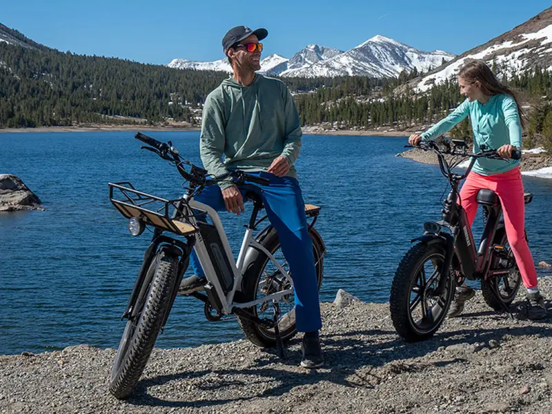 Himiway D3 St (Cruiser St) | All Terrain Step Thru Electric Bike | 750W Brushless Gear Motor | Lcd Display With Usb Charging 3