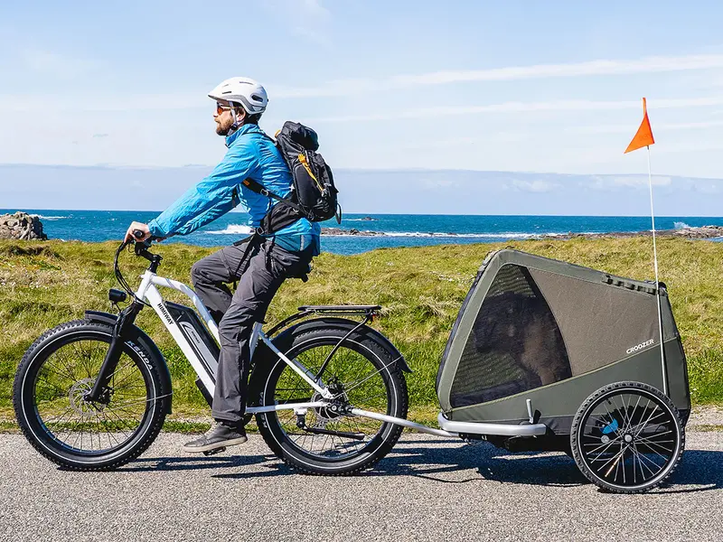 Himiway D3 St (Cruiser St) | All Terrain Step Thru Electric Bike | 750W Brushless Gear Motor | Lcd Display With Usb Charging 4