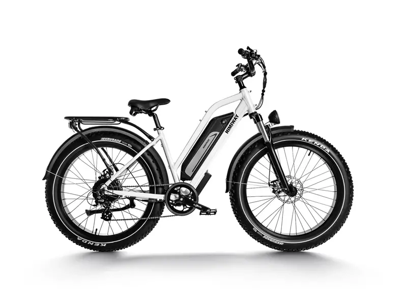 Himiway D3 St (Cruiser St) | All Terrain Step Thru Electric Bike | 750W Brushless Gear Motor | Lcd Display With Usb Charging 5