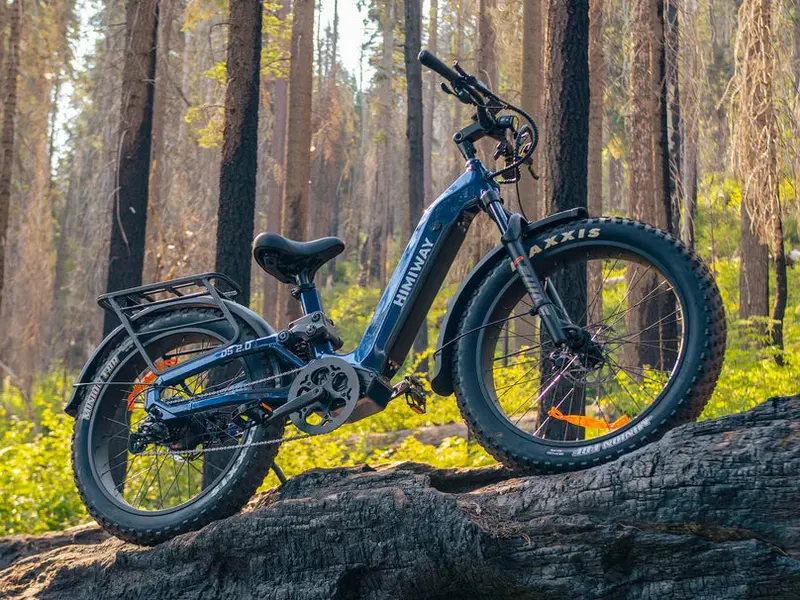 Himiway Electric Bike | Model D5 2.0 St (Step-Thru) | 750W Hub Motor | 65 Mile Range 1