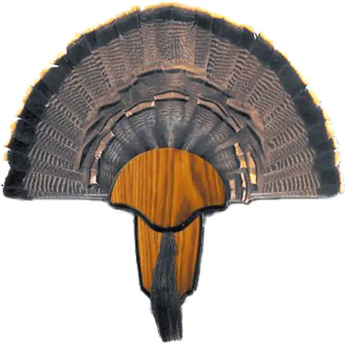 Hs Strut Mounting Kit Turkey - Tail & Beard 1