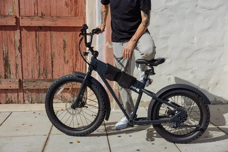 Jackrabbit | Micro Electric Bike | Model Mg Renegade | Lightweight Micro Hauler | 20” & 24” Off-Road Tires | 749W Cargo Motor | 48+ Mile Range | For Urban Commutes, Off-Road, Utility Hauling 1