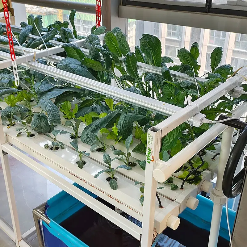 Lyine Full Set Vertical Nft Hydroponics System Farm With Phec For Greenhouse Planting/Indoor Farming 1