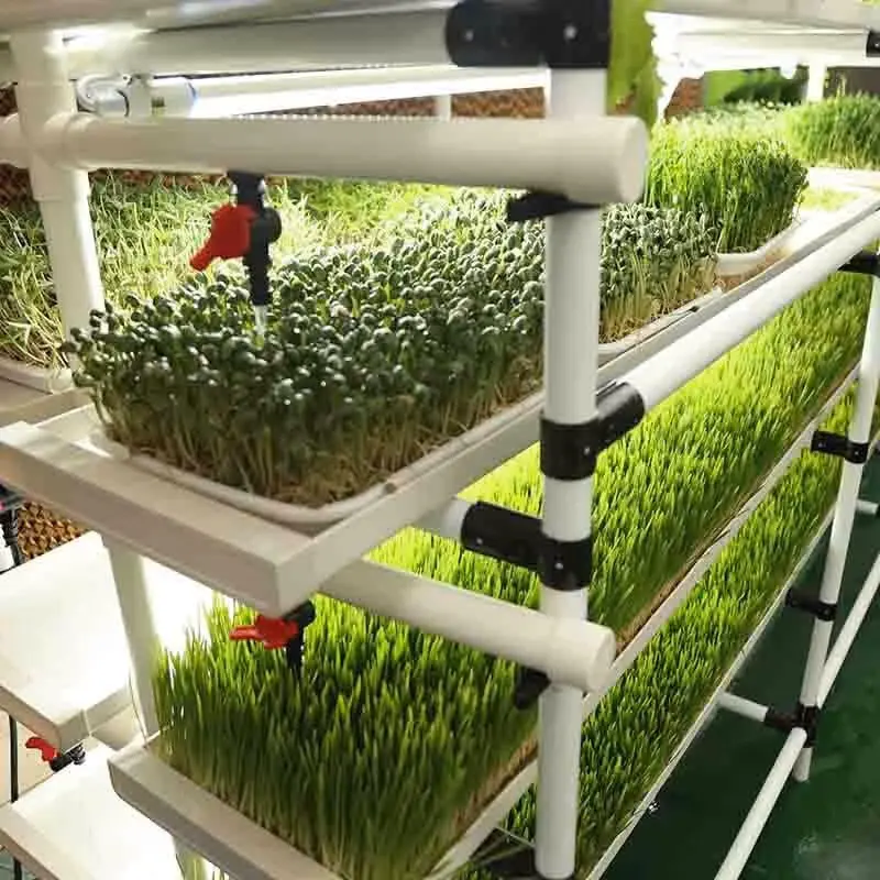 Lyine Greenhouse Hydroponic Microgreens Grow Rack System | 100*70*125Cm | 2 Trays * 3 Layers 1