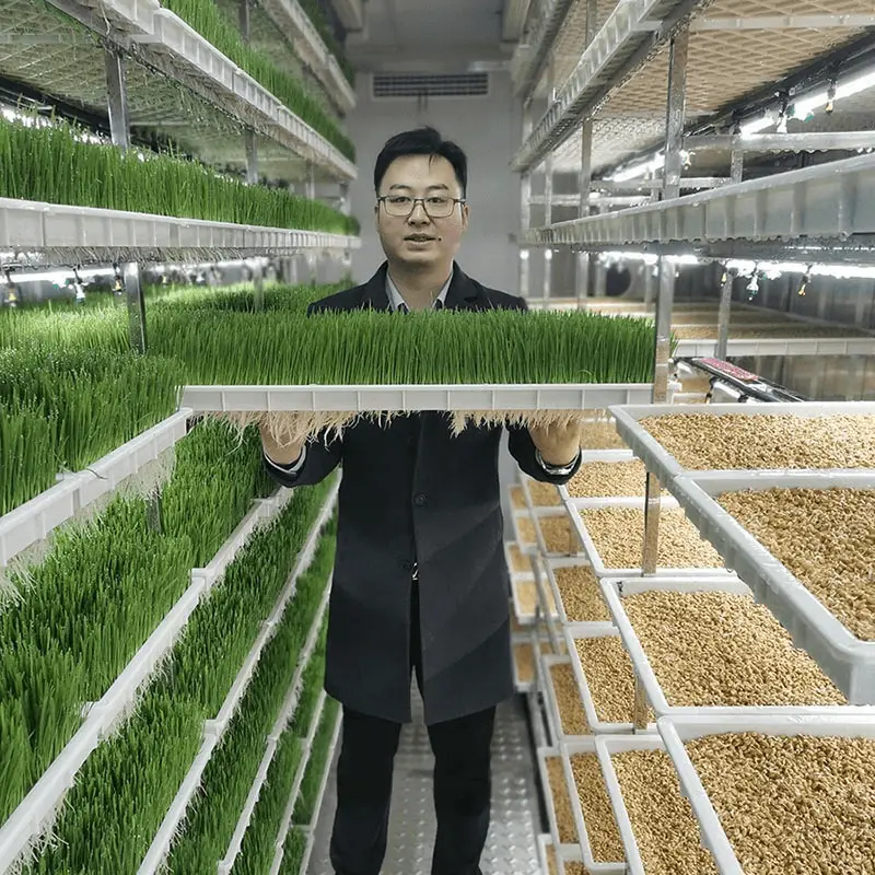 Lyine Hydroponic Fodder Container Farming System | Model Ly-Dm500, Lyj-Dm1000 & Ly-Dm1500 1