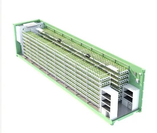Lyine Hydroponic Nft Container Farming | 220V/380V | Plant Quantity 3600-6000 1