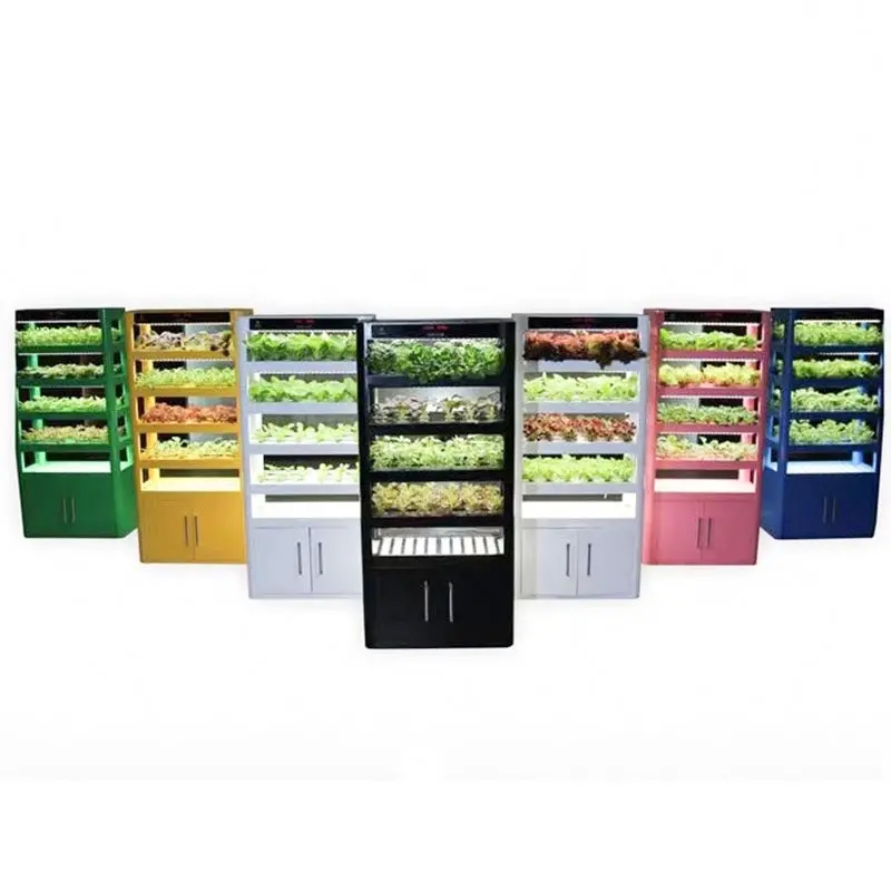 Lyine Smart Home Vegetable Hydroponic Grow Cabinet | 4 Layers 3