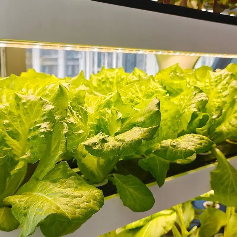 Lyine Smart Home Vegetable Hydroponic Grow Cabinet | 4 Layers 5