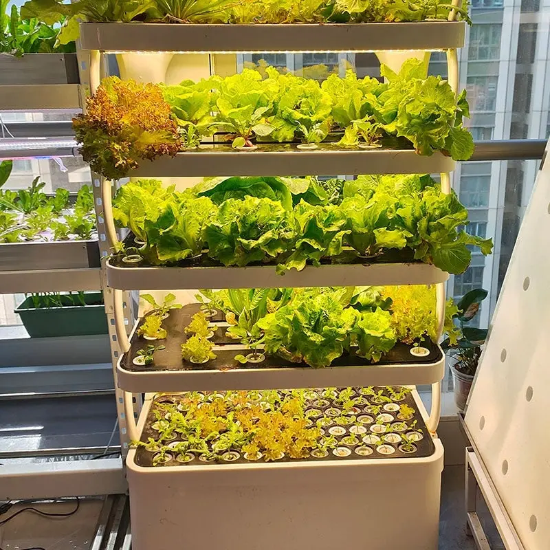 Lyine Smart Home Vegetable Hydroponic Grow Cabinet | 4 Layers 7