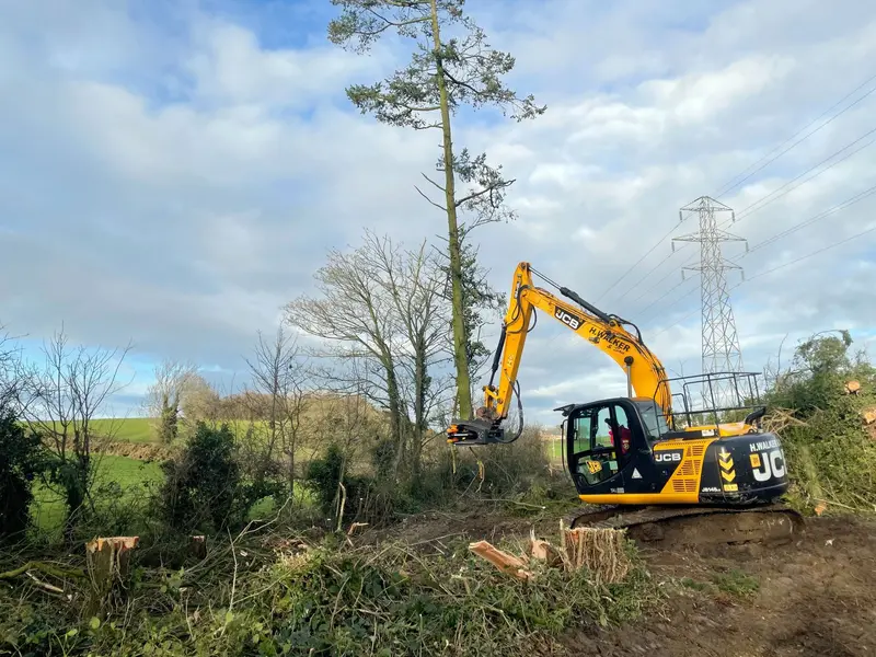 Mde Machinery Tree Shear With Buncher & Tilt | Model Koala 150T To Koala 550T | Cutting Capacity 6" To 21.5" Inches | Machine Size 1.5-40 Ton | For Excavator 4