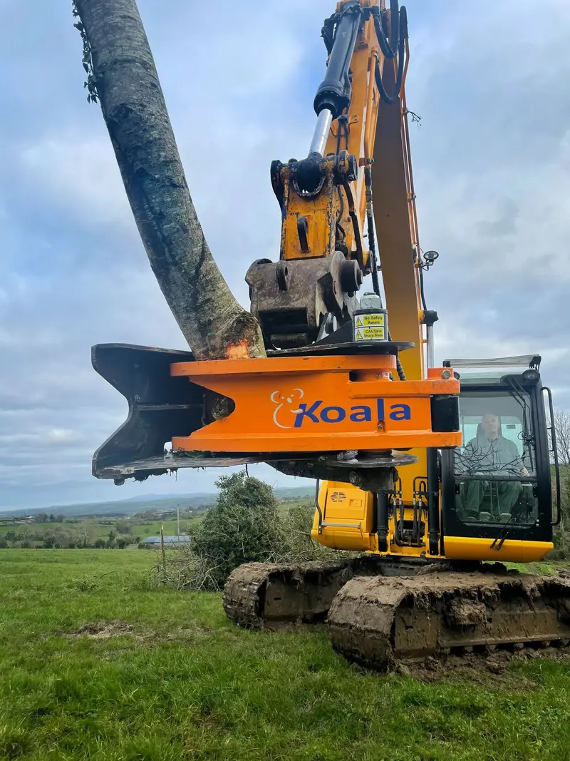 Mde Machinery Tree Shear With Buncher & Tilt | Model Koala 150T To Koala 550T | Cutting Capacity 6" To 21.5" Inches | Machine Size 1.5-40 Ton | For Excavator 5