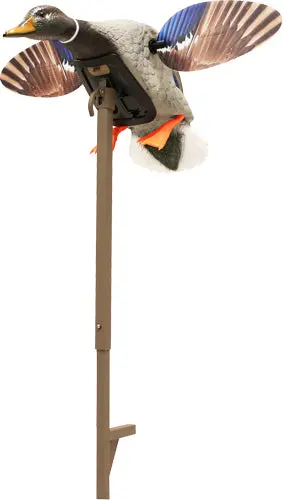 Mojo Elite Series Mini Mallard - Drake Decoy 1