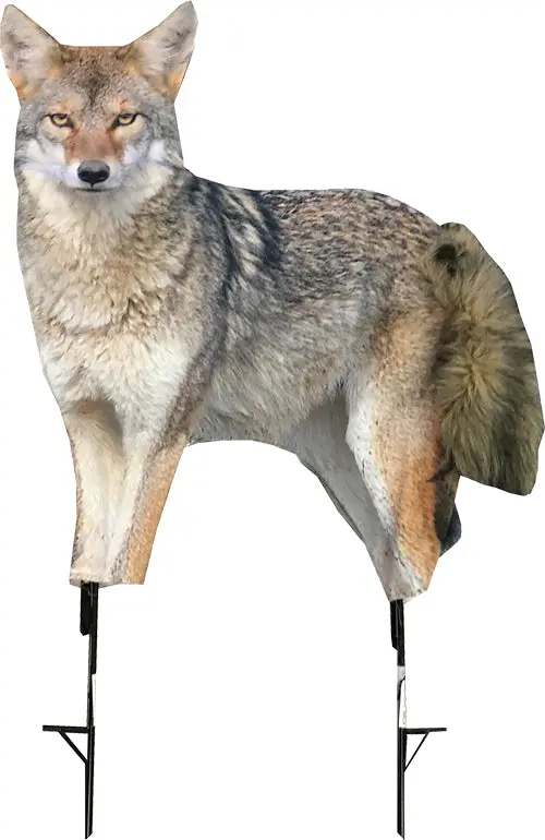 Montana Decoy Coyote Song Dog - 1