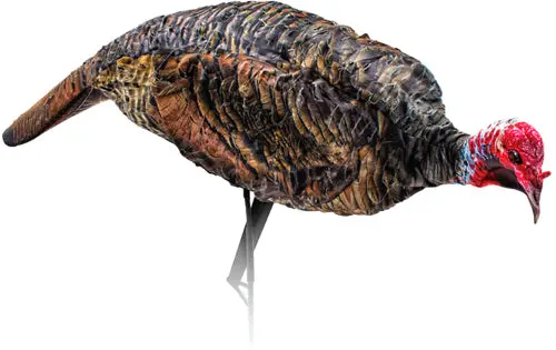 Montana Decoy Turkey Jake - Purr-Fect Xd 1