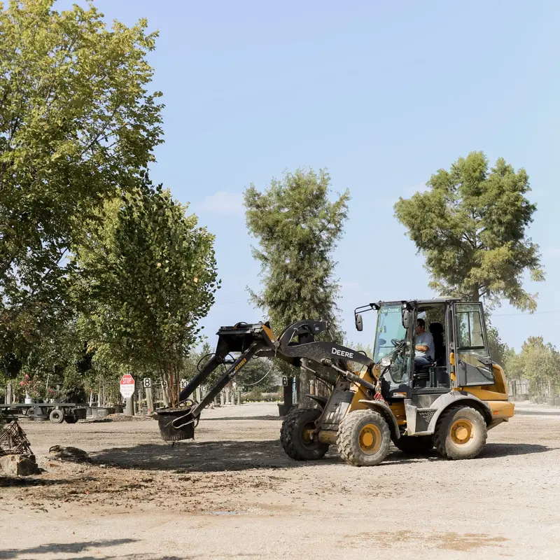 Proline Tree Planting Equipment | Model Grabber Standard | Width 42" | Rootball Capacity 14″-42″ | Reach 8' | Hydraulic Flow Range 15–25 Gpm | For Skid Steers 1