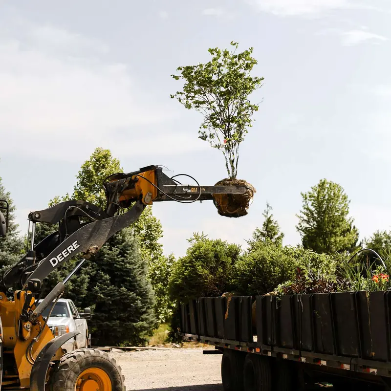 Proline Tree Planting Equipment | Model Grabber Standard | Width 42" | Rootball Capacity 14″-42″ | Reach 8' | Hydraulic Flow Range 15–25 Gpm | For Skid Steers 2