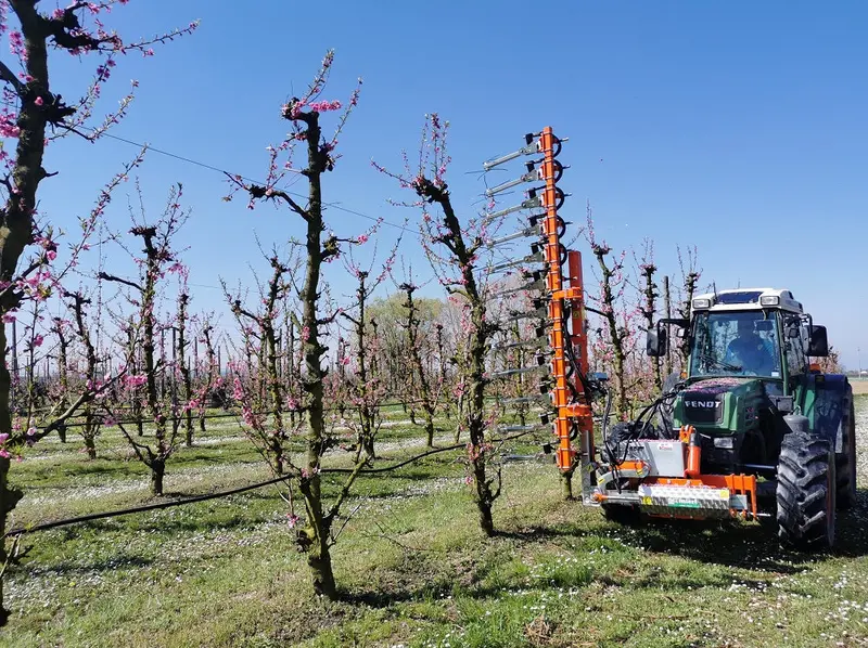 Rinieri Flower Thinning Machine | Florix Series | Working Width 78", 98" & 118" Inches |  Horsepower 70-100 Hp | For Tractors 1