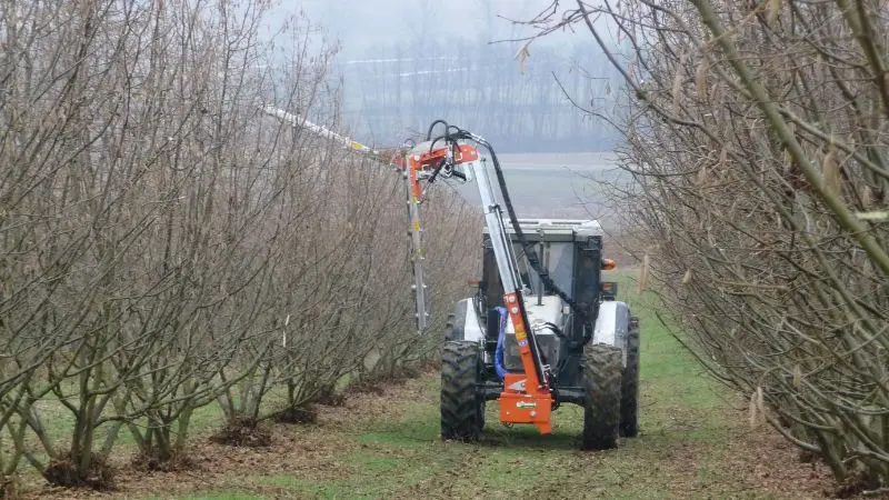 Rinieri Orchard Pruner W/ Discs | Orsx Series | Working Width 69" To 89" Inches | Horsepower 70-100 Hp | For Tractors 1