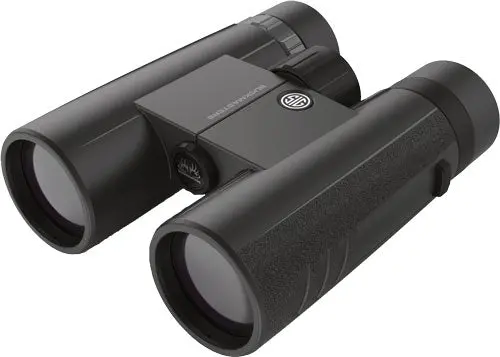Sig Optics Binocular 10X42 - Buckmasters Roof Prism Black 1
