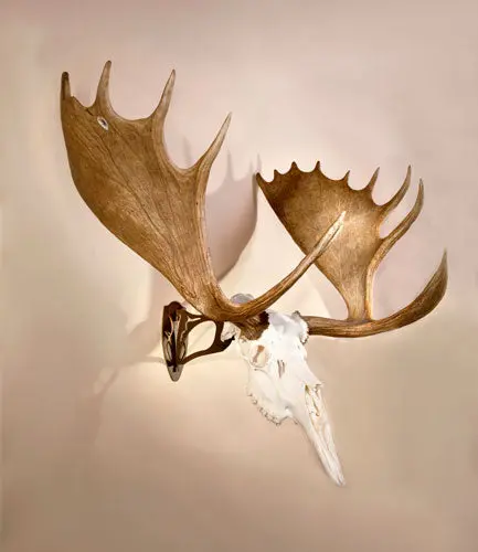Skull Hooker Big Hooker - Graphite Brown 1