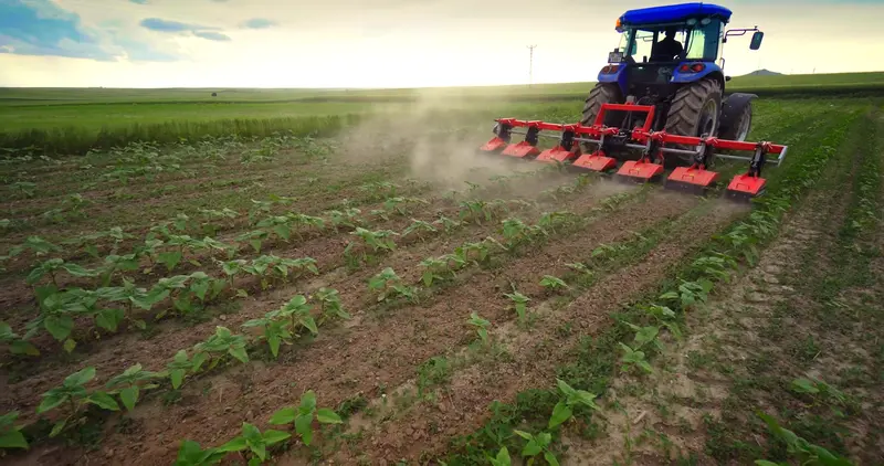 Toscano | Wide Unit Inter-Row Rotary Cultivator | Model 4, 5, 6, 7 & 9 Units | Total Width 7.05 To 14.76 Feet | Horsepower 30-75 Hp | For Tractor 20