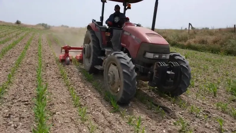 Toscano | Wide Unit Inter-Row Rotary Cultivator | Model 4, 5, 6, 7 & 9 Units | Total Width 7.05 To 14.76 Feet | Horsepower 30-75 Hp | For Tractor 4