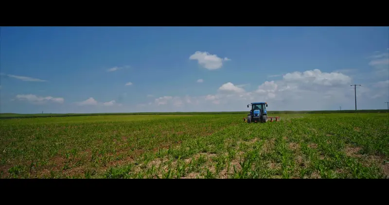 Toscano | Wide Unit Inter-Row Rotary Cultivator | Model 4, 5, 6, 7 & 9 Units | Total Width 7.05 To 14.76 Feet | Horsepower 30-75 Hp | For Tractor 8