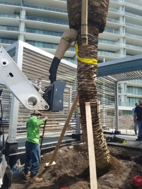 Virnig Tree Boom | Model Trbm | Overall Height 65.5" | 15-25 Gpm | For Skid Steers 1