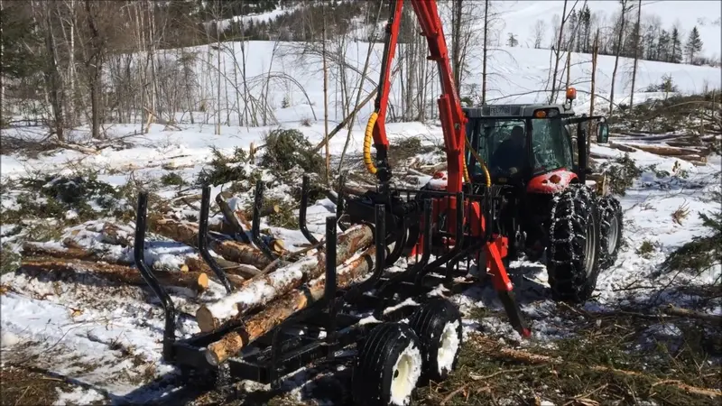 Woody Equipment 10′ Forestry Trailer Model 10-66 Lp With Log Loader Model 125 Lp | Pull Type | For Tractors 1