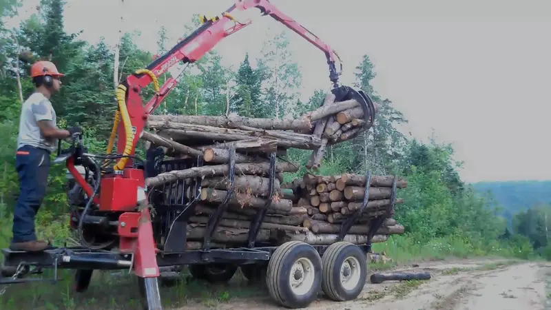 Woody Equipment 10′ Forestry Trailer Model 10-78 Hv With Log Loader Model 130-Hd / Hdt | Pull Type | For Tractors 1
