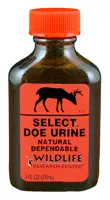 Wrc Deer Lure Select Doe - Urine 1Fl Ounce 1